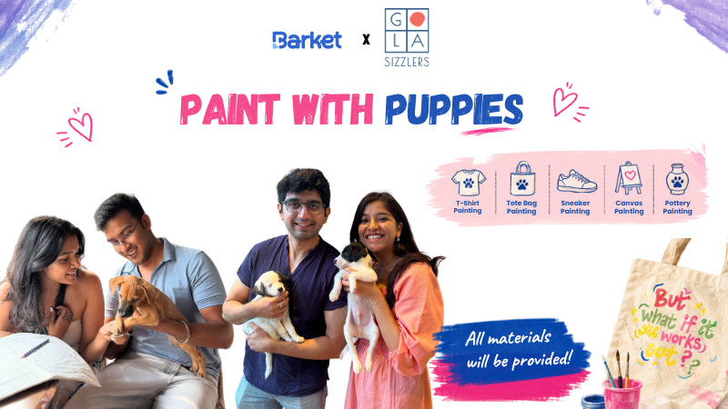 Paint with Puppies – Gola Sizzlers, GK-2