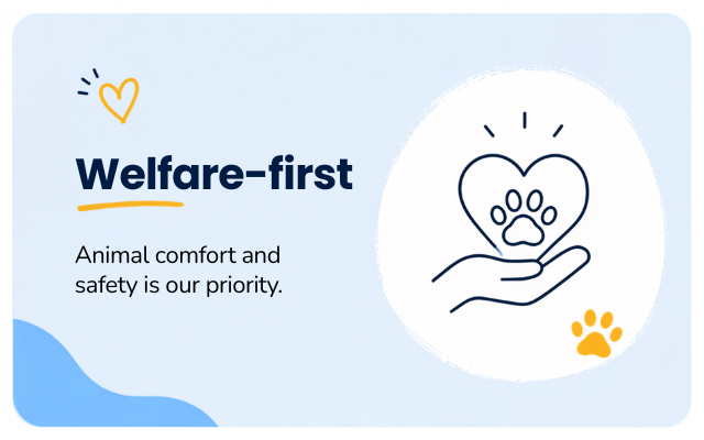 Welfare-first
