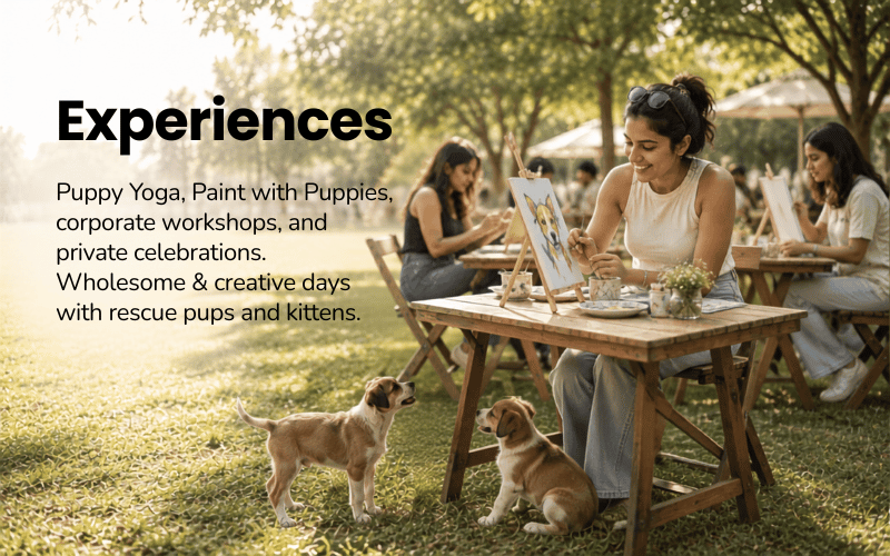 Experiences
