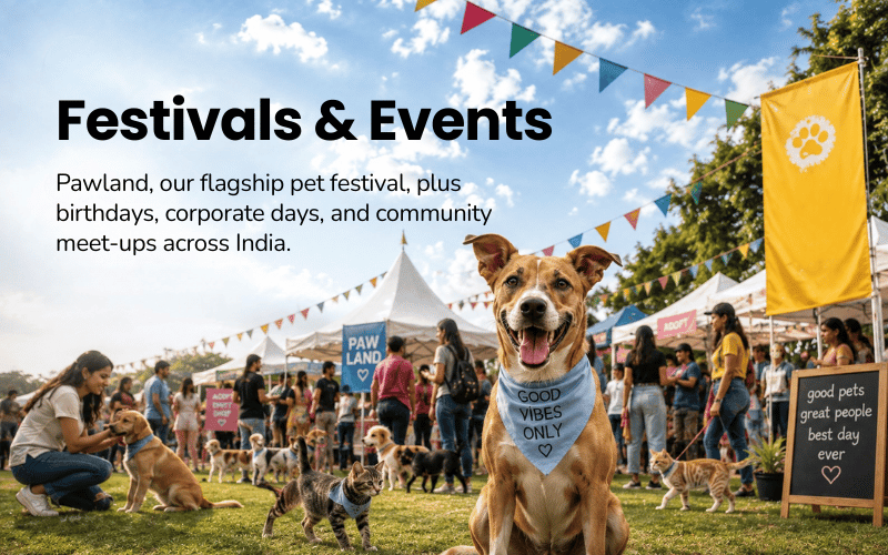 Festivals and events