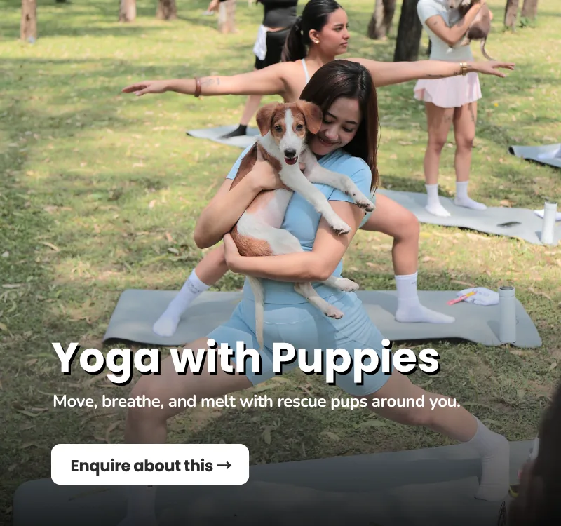 Yoga with Puppies