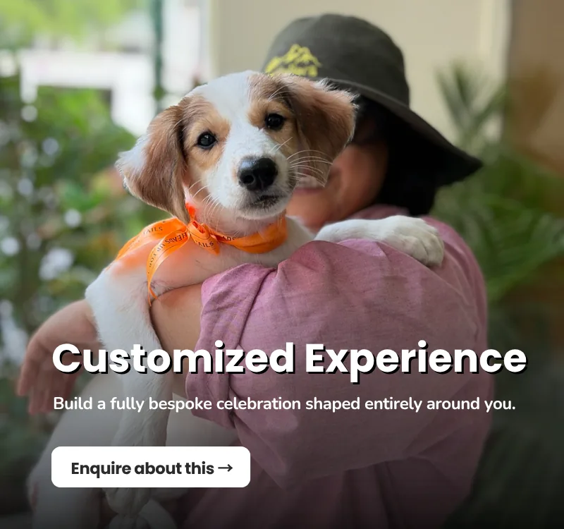 Customized Experience