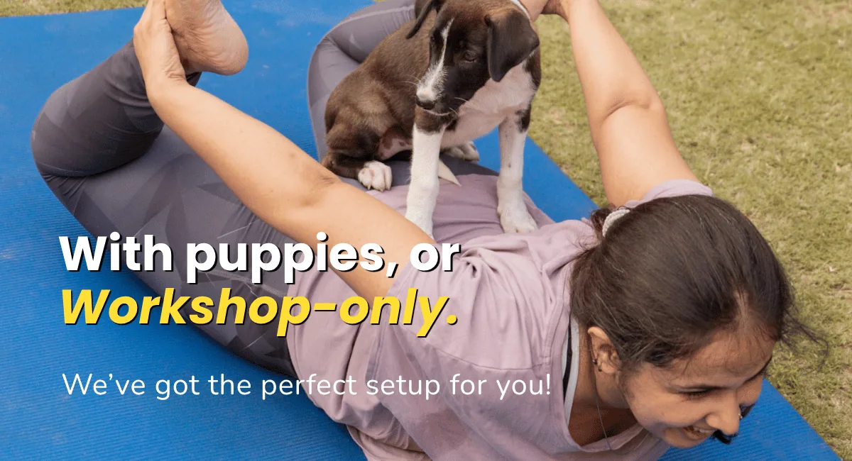 With puppies, or workshop-only