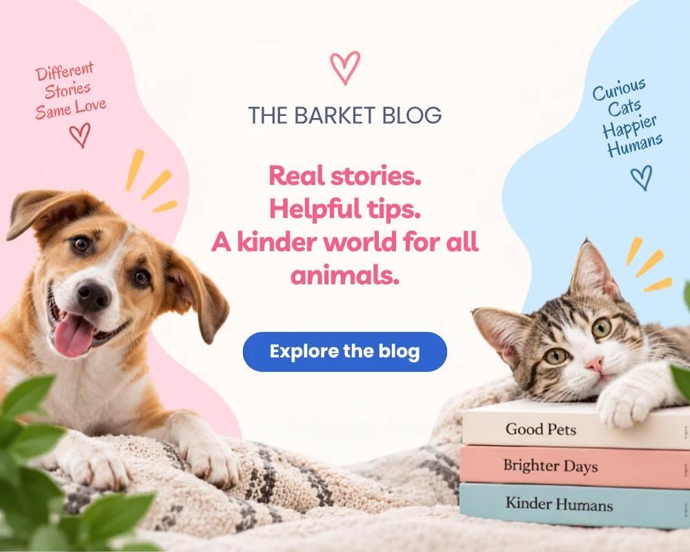 The Barket Blog