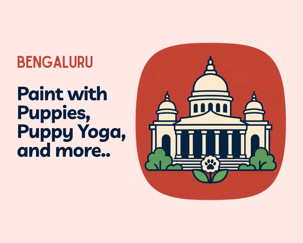 Bengaluru — Barket Events