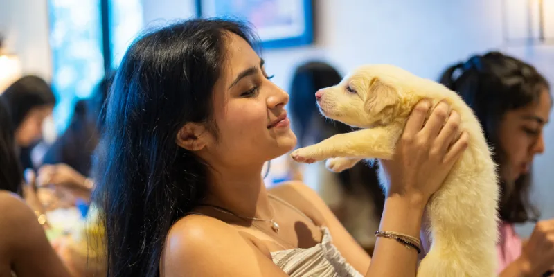 Paint with Puppies session moment — Barket