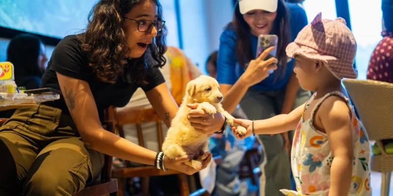 Paint with Puppies session moment — Barket