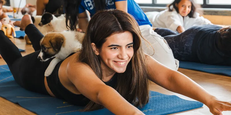Puppy Yoga session moment