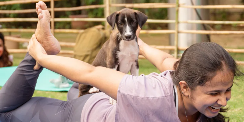 Puppy Yoga session moment
