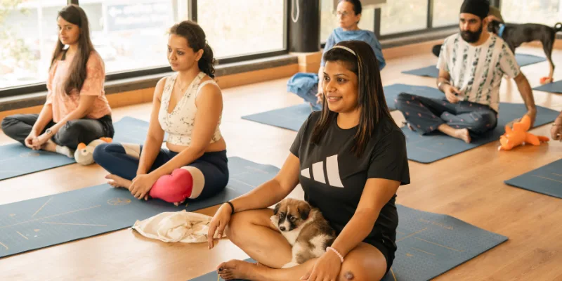 Puppy Yoga session moment