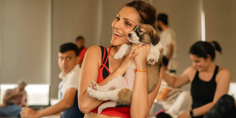 Puppy Yoga session moment