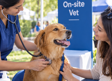 On-site vet