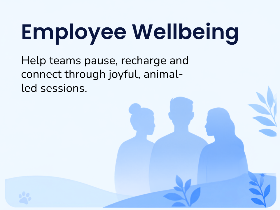 Employee Wellbeing